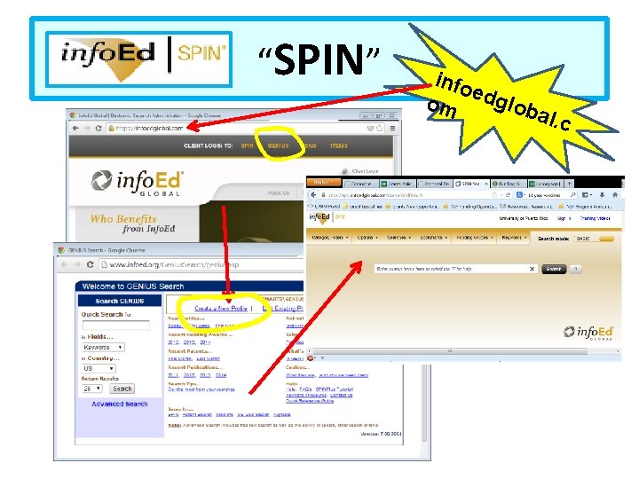“SPIN” info e om dglob a l. c 