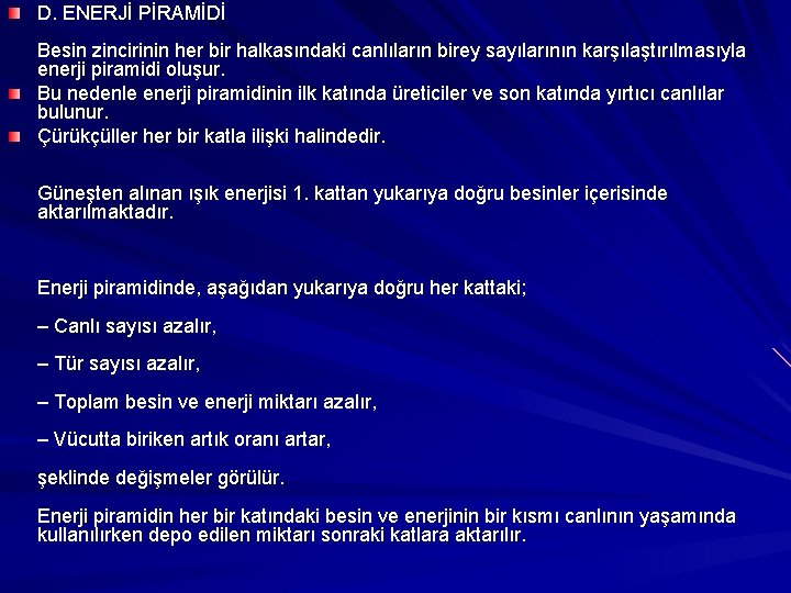 D. ENERJİ PİRAMİDİ Besin zincirinin her bir halkasındaki canlıların birey sayılarının karşılaştırılmasıyla enerji piramidi