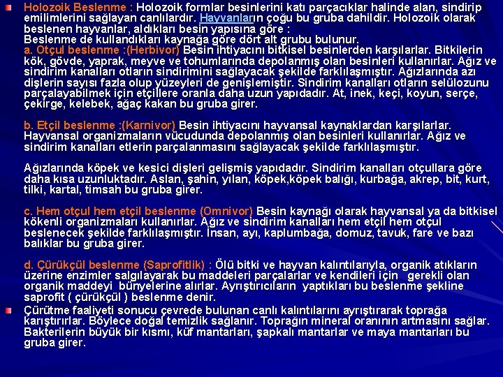 Holozoik Beslenme : Holozoik formlar besinlerini katı parçacıklar halinde alan, sindirip emilimlerini sağlayan canlılardır.