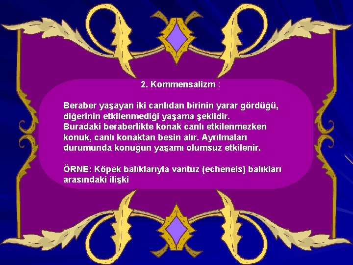  2. Kommensalizm : Beraber yaşayan iki canlıdan birinin yarar gördüğü, diğerinin etkilenmediği yaşama