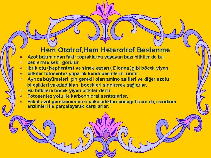 Hem Ototrof, Hem Heterotrof Beslenme Azot bakımından fakir topraklarda yaşayan bazı bitkiler de bu