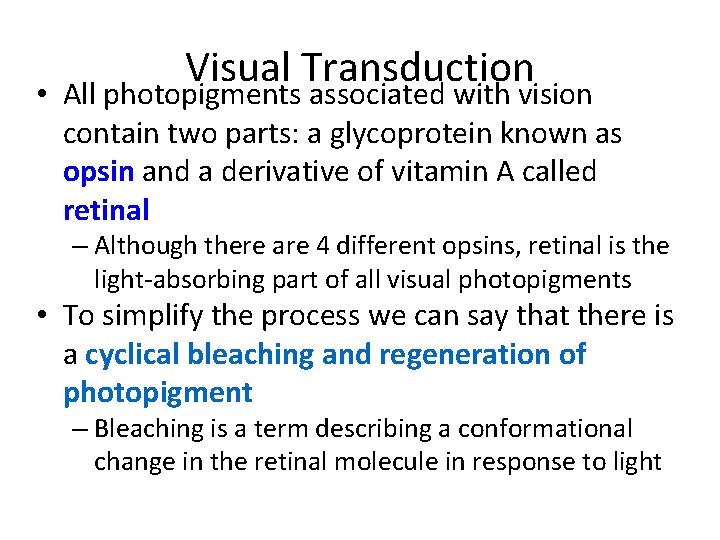 Visual Transduction • All photopigments associated with vision contain two parts: a glycoprotein known