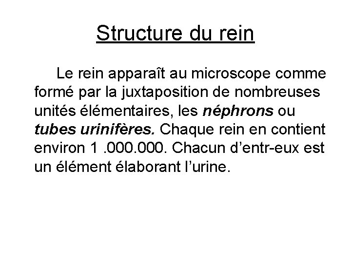 Structure du rein Le rein apparaît au microscope comme formé par la juxtaposition de