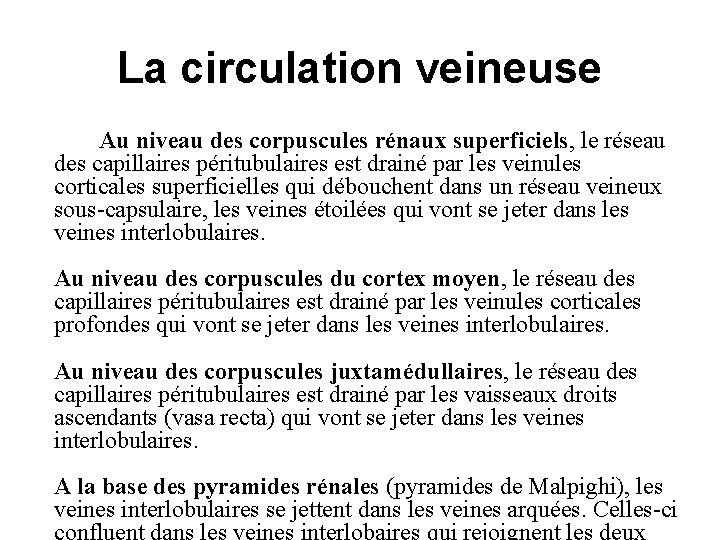 La circulation veineuse Au niveau des corpuscules rénaux superficiels, le réseau des capillaires péritubulaires