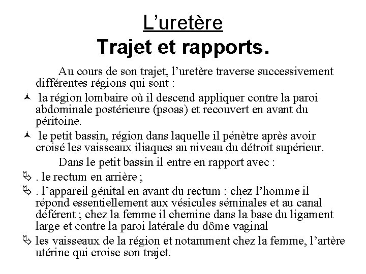 L’uretère Trajet et rapports. Au cours de son trajet, l’uretère traverse successivement différentes régions