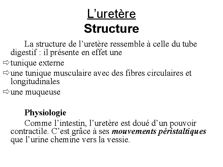 L’uretère Structure La structure de l’uretère ressemble à celle du tube digestif : il