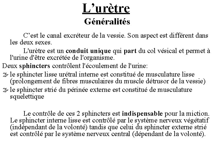 L’urètre Généralités C’est le canal excréteur de la vessie. Son aspect est différent dans