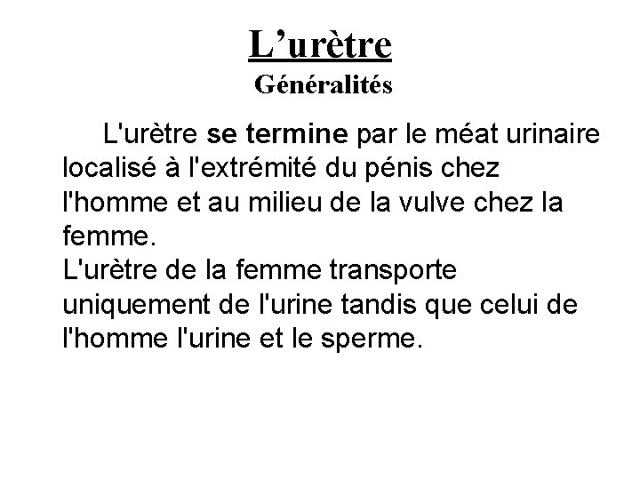 L’urètre Généralités L'urètre se termine par le méat urinaire localisé à l'extrémité du pénis