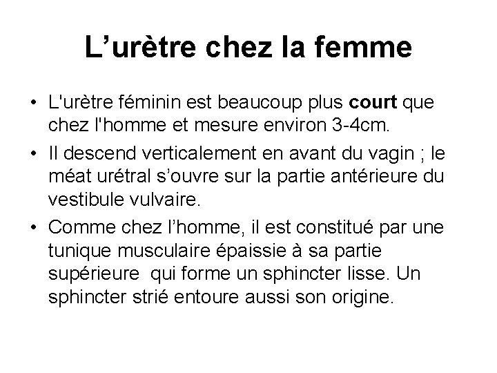 L’urètre chez la femme • L'urètre féminin est beaucoup plus court que chez l'homme