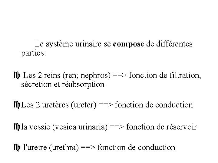 Le système urinaire se compose de différentes parties: c Les 2 reins (ren; nephros)