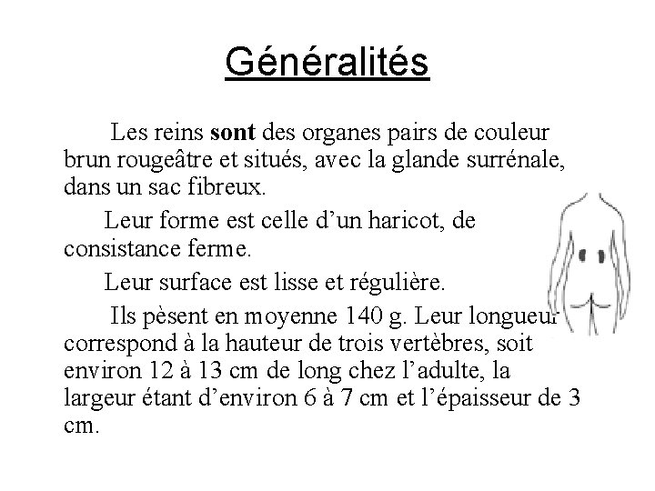 Généralités Les reins sont des organes pairs de couleur brun rougeâtre et situés, avec