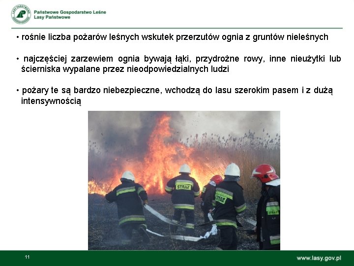  • rośnie liczba pożarów leśnych wskutek przerzutów ognia z gruntów nieleśnych • najczęściej
