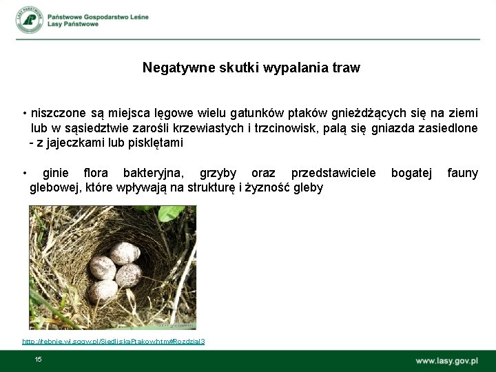 Negatywne skutki wypalania traw • niszczone są miejsca lęgowe wielu gatunków ptaków gnieżdżących się