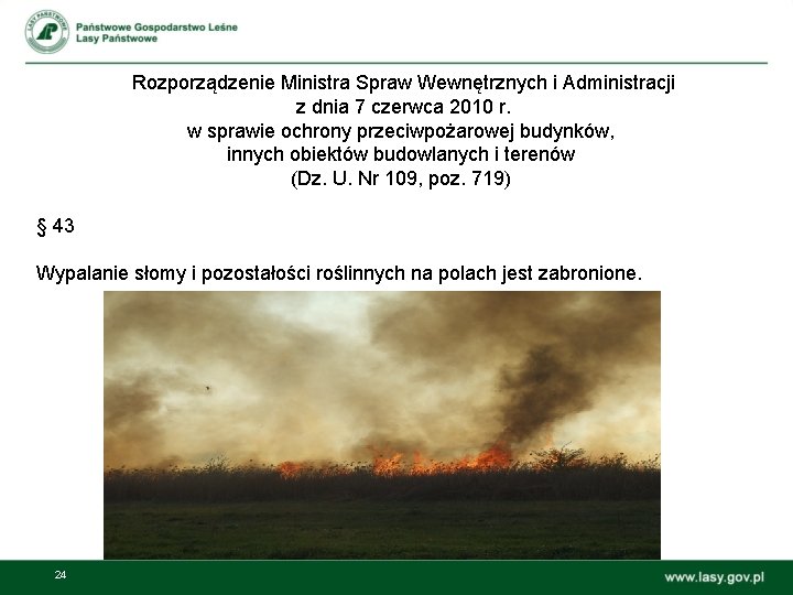 Rozporządzenie Ministra Spraw Wewnętrznych i Administracji z dnia 7 czerwca 2010 r. w sprawie