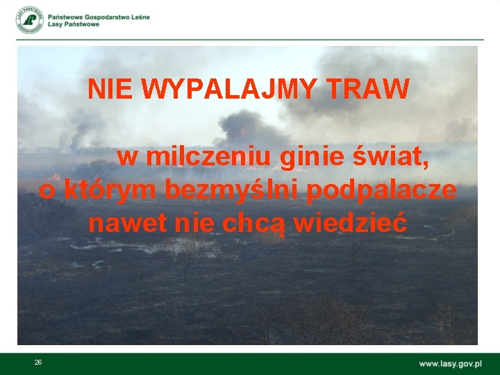 NIE WYPALAJMY TRAW w milczeniu ginie świat, o którym bezmyślni podpalacze nawet nie chcą