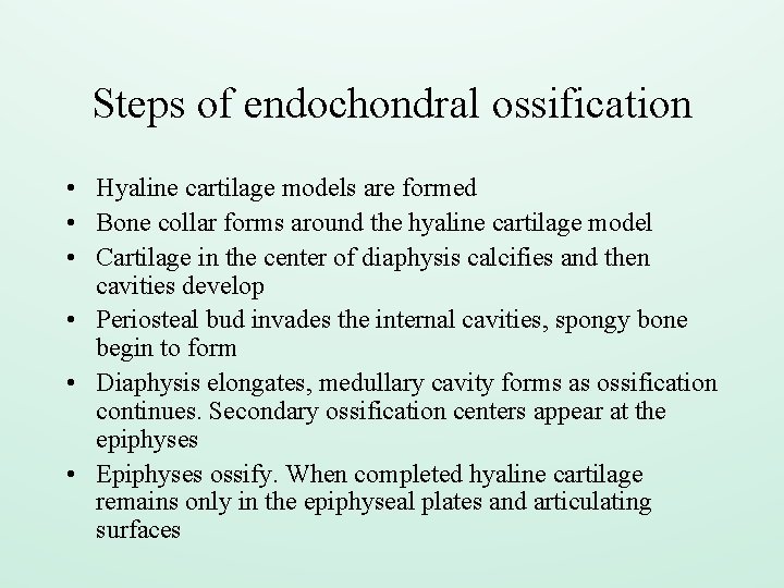 Steps of endochondral ossification • Hyaline cartilage models are formed • Bone collar forms