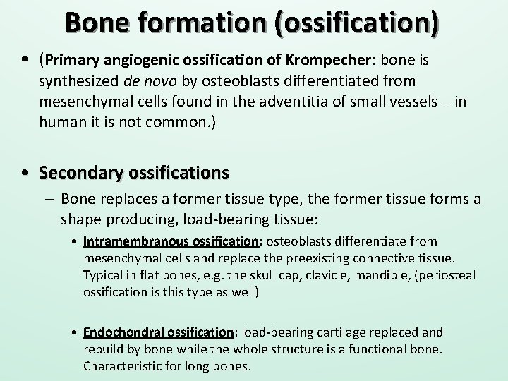 Bone formation (ossification) • (Primary angiogenic ossification of Krompecher: bone is synthesized de novo