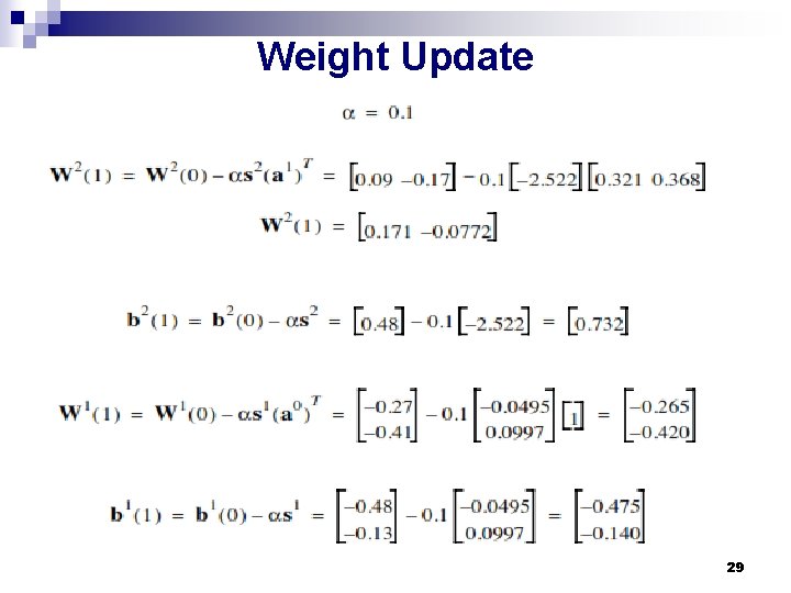 Weight Update 29 Weight Update 29