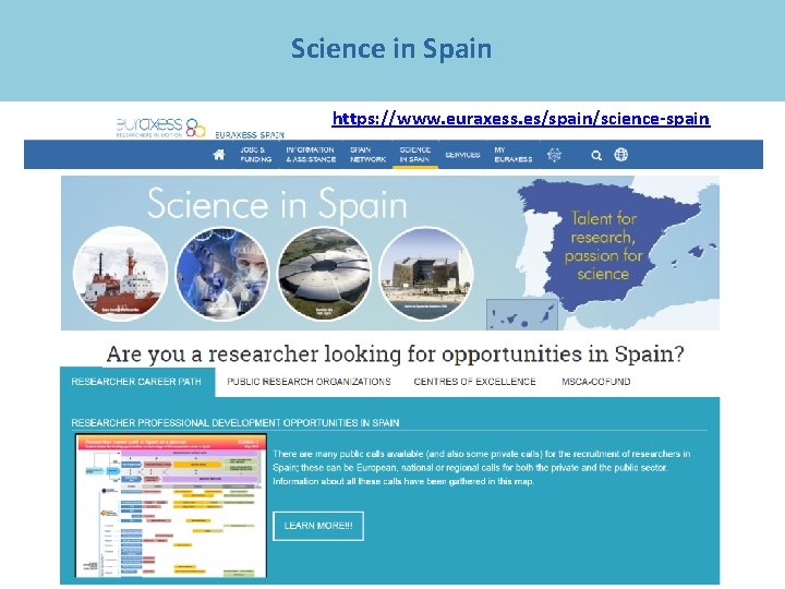 Science in Spain https: //www. euraxess. es/spain/science-spain 