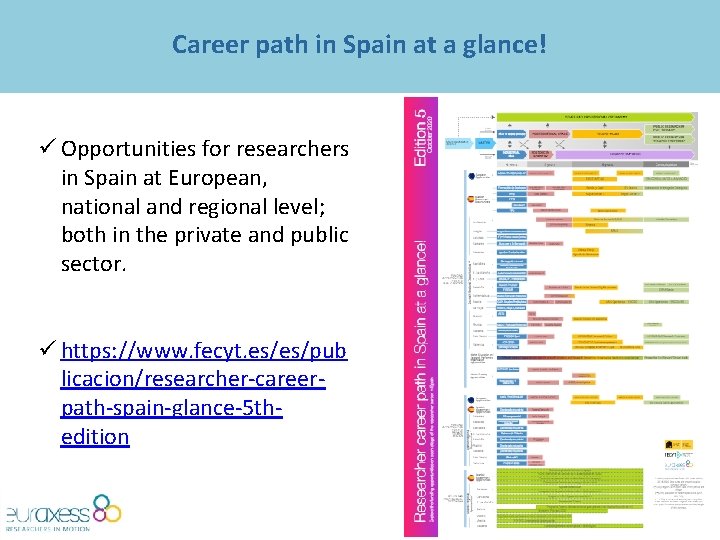 Career path in Spain at a glance! ü Opportunities for researchers in Spain at