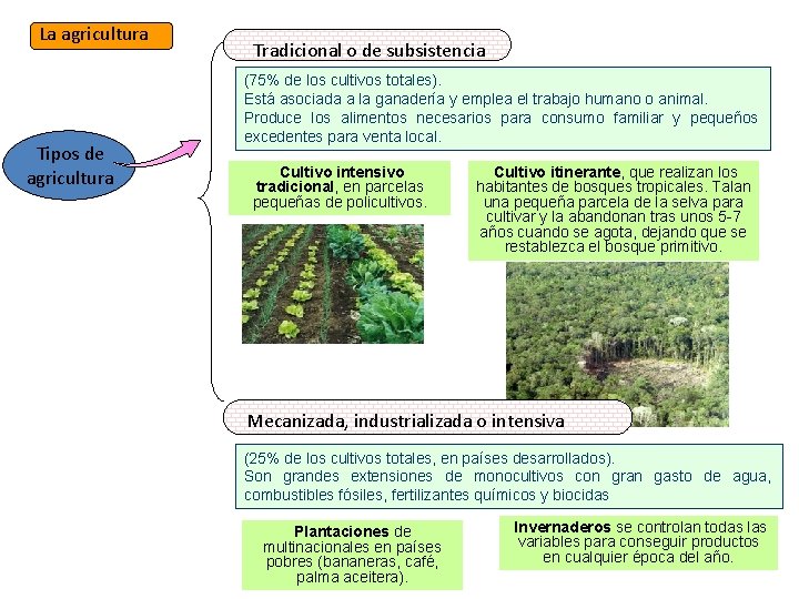 La agricultura Tipos de agricultura Tradicional o de subsistencia (75% de los cultivos totales).
