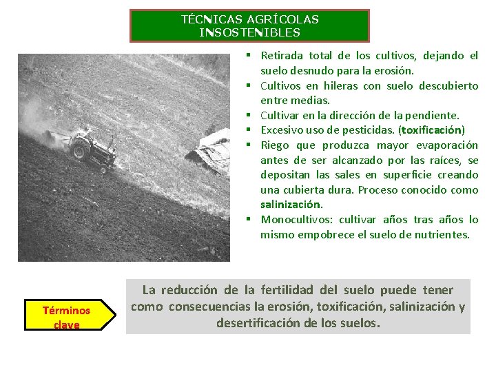 TÉCNICAS AGRÍCOLAS INSOSTENIBLES § Retirada total de los cultivos, dejando el suelo desnudo para