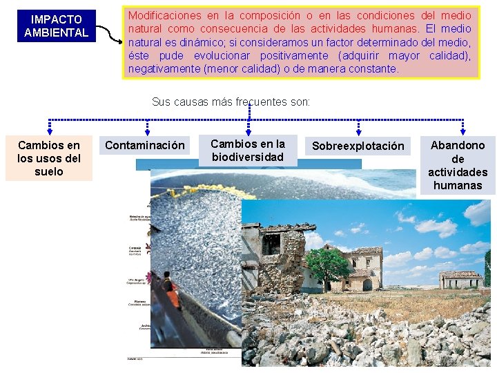 IMPACTO AMBIENTAL Modificaciones en la composición o en las condiciones del medio natural como