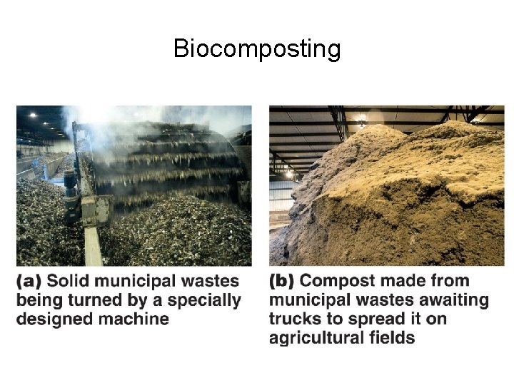 Biocomposting 