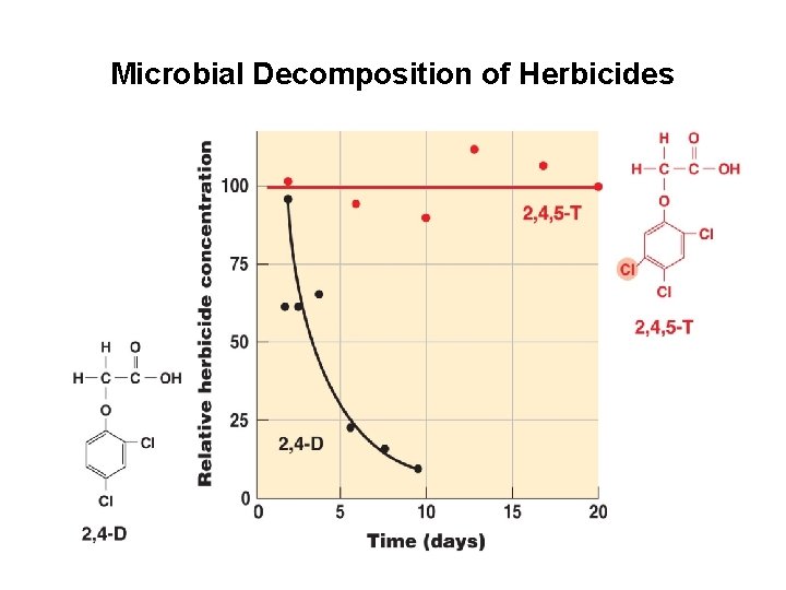 Microbial Decomposition of Herbicides 