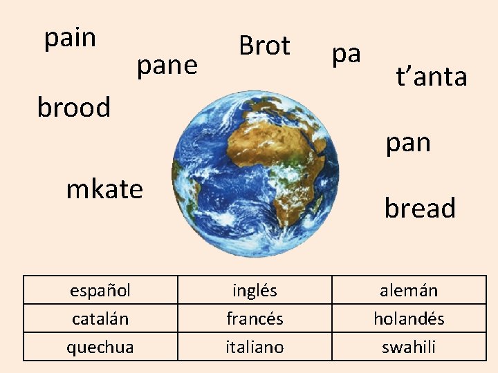 pain pane Brot brood t’anta pan mkate español catalán quechua pa bread inglés francés