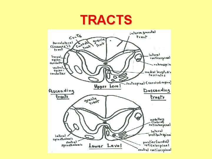 TRACTS 