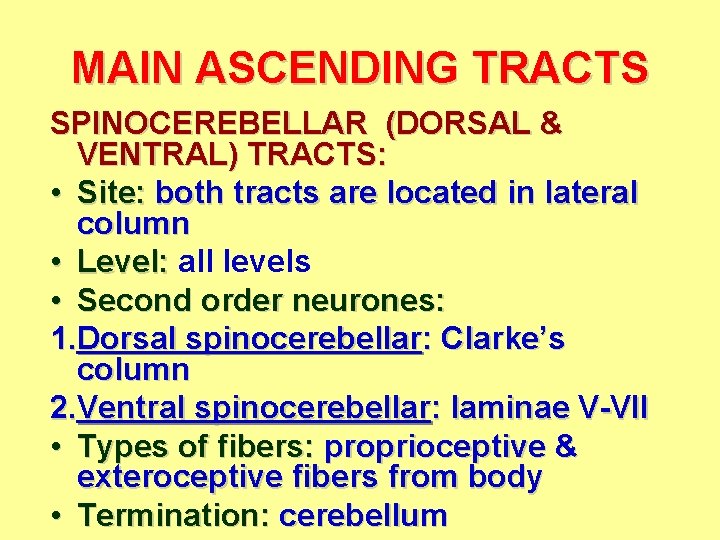 MAIN ASCENDING TRACTS SPINOCEREBELLAR (DORSAL & VENTRAL) TRACTS: • Site: both tracts are located