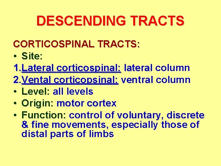 DESCENDING TRACTS CORTICOSPINAL TRACTS: • Site: 1. Lateral corticospinal: lateral column 2. Vental corticopsinal: