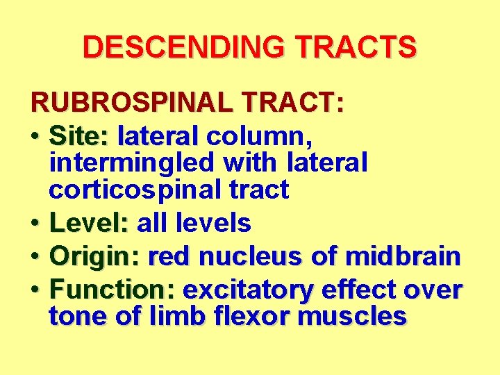 DESCENDING TRACTS RUBROSPINAL TRACT: • Site: lateral column, intermingled with lateral corticospinal tract •