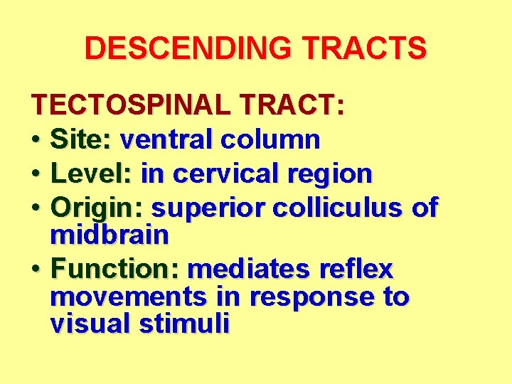 DESCENDING TRACTS TECTOSPINAL TRACT: • Site: ventral column • Level: in cervical region •