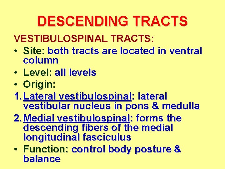 DESCENDING TRACTS VESTIBULOSPINAL TRACTS: • Site: both tracts are located in ventral column •
