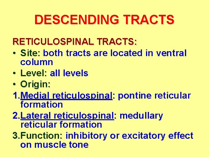 DESCENDING TRACTS RETICULOSPINAL TRACTS: • Site: both tracts are located in ventral column •