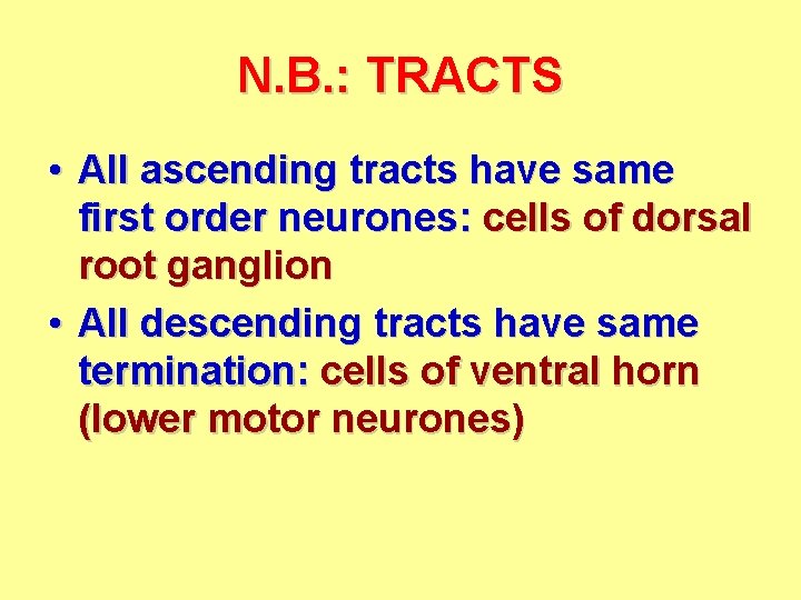 N. B. : TRACTS • All ascending tracts have same first order neurones: cells