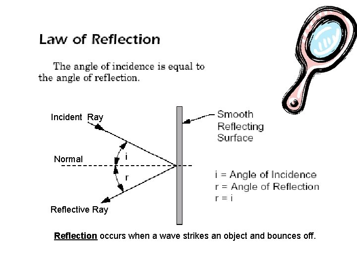 Incident Ray Normal Reflective Ray Reflection occurs when a wave strikes an object and