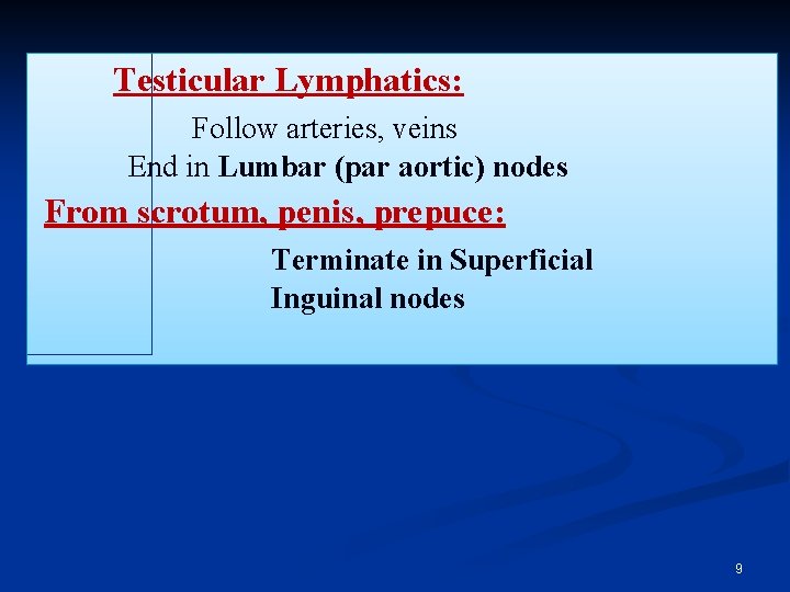 Testicular Lymphatics: Follow arteries, veins End in Lumbar (par aortic) nodes From scrotum, penis,
