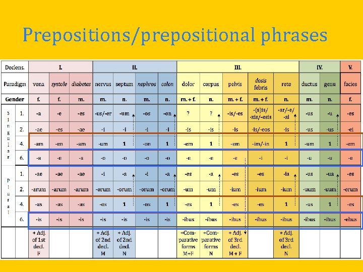 Prepositions/prepositional phrases 