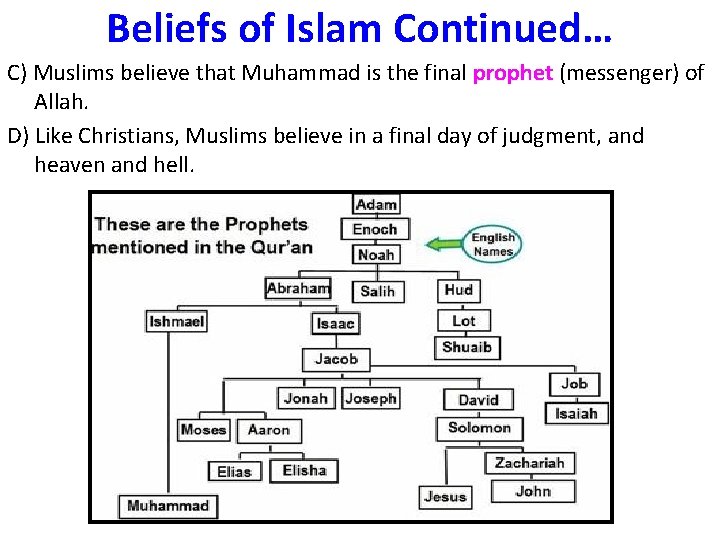 Beliefs of Islam Continued… C) Muslims believe that Muhammad is the final prophet (messenger)