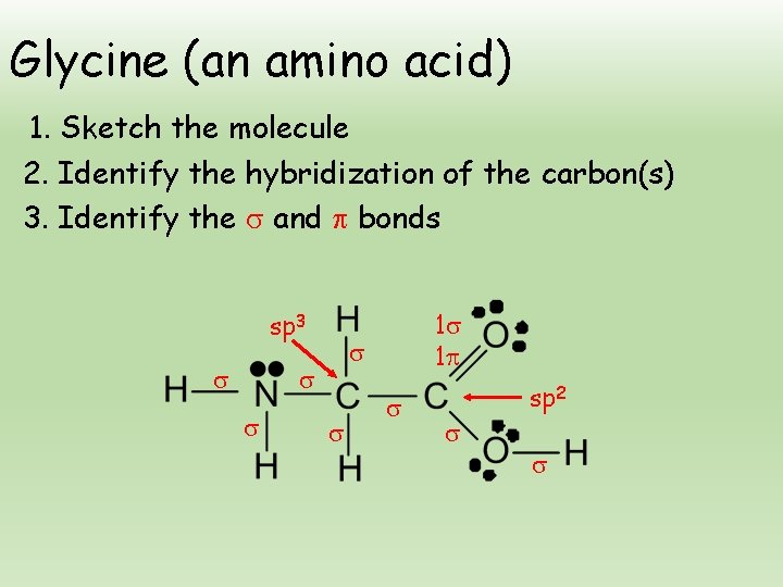 Glycine (an amino acid) 1. Sketch the molecule 2. Identify the hybridization of the