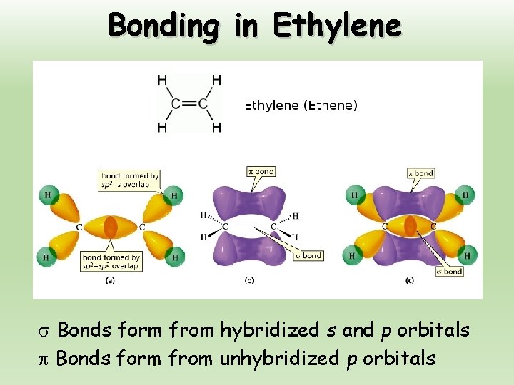 Bonding in Ethylene Bonds form from hybridized s and p orbitals Bonds form from