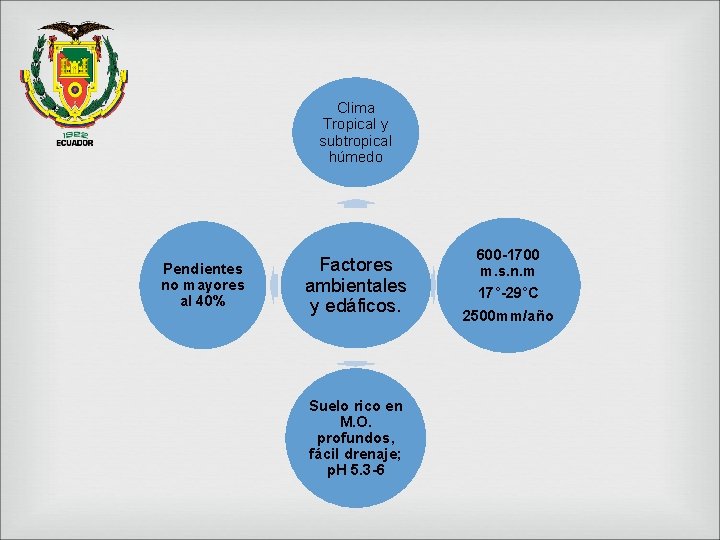 Clima Tropical y subtropical húmedo Pendientes no mayores al 40% Factores ambientales y edáficos.