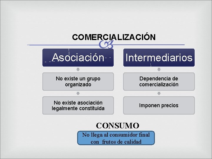 COMERCIALIZACIÓN Asociación Intermediarios No existe un grupo organizado Dependencia de comercialización No existe asociación