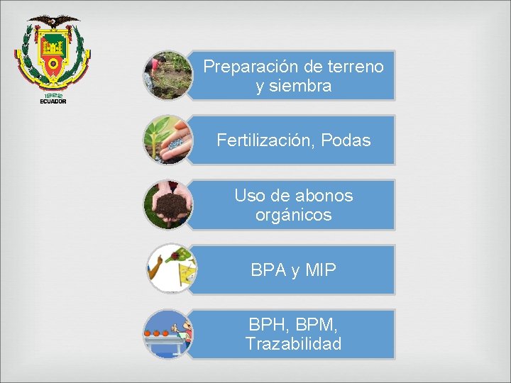 Preparación de terreno y siembra Fertilización, Podas Uso de abonos orgánicos BPA y MIP