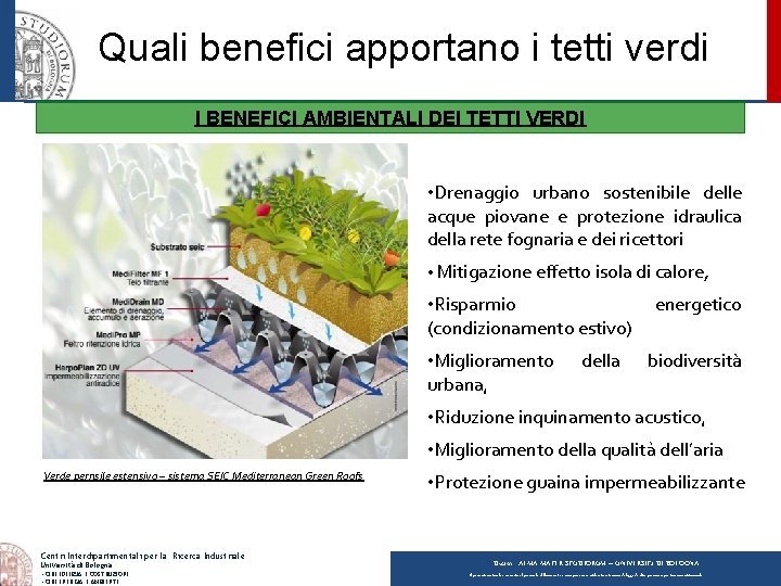 Quali benefici apportano i tetti verdi I BENEFICI AMBIENTALI DEI TETTI VERDI • Drenaggio