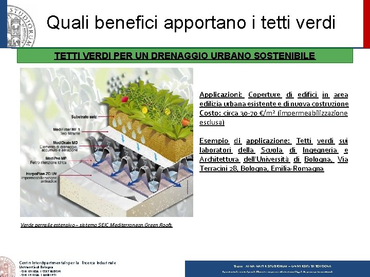 Quali benefici apportano i tetti verdi TETTI VERDI PER UN DRENAGGIO URBANO SOSTENIBILE Applicazioni: