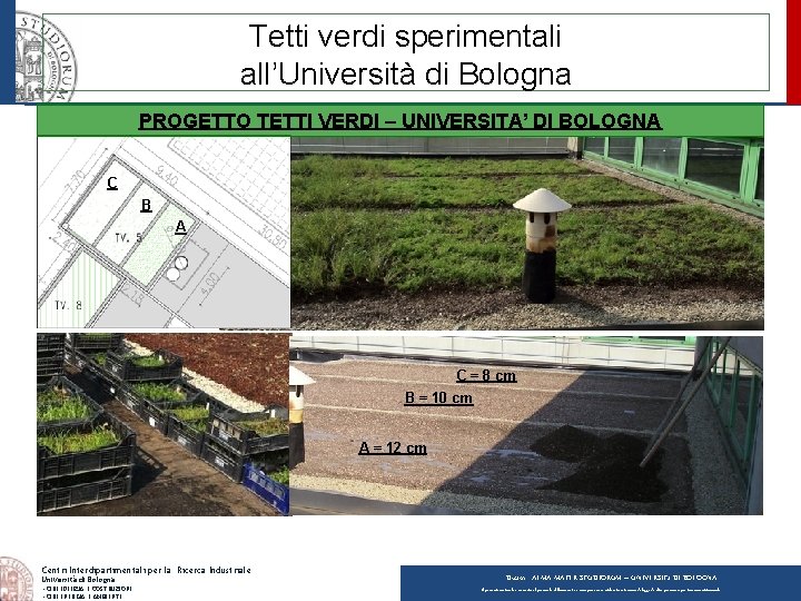Tetti verdi sperimentali all’Università di Bologna PROGETTO TETTI VERDI – UNIVERSITA’ DI BOLOGNA C